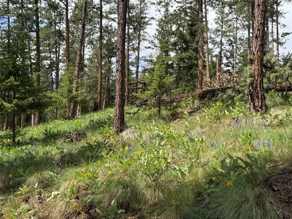 5088 Skyway Drive Missoula MT 59804