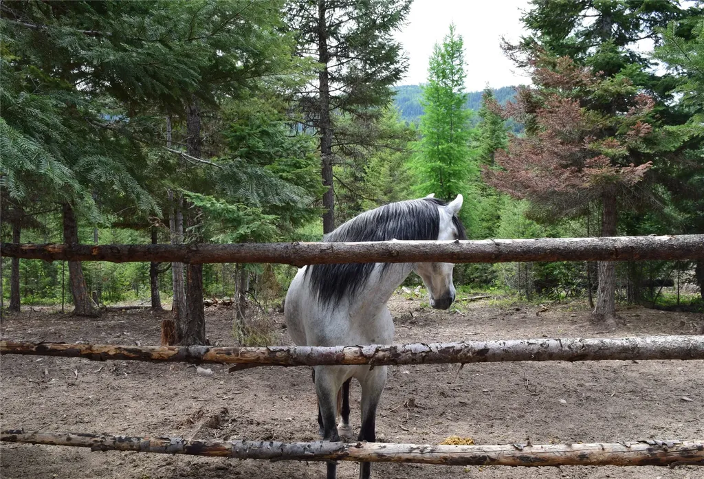 4193 Quartz Creek Road Libby MT 59923