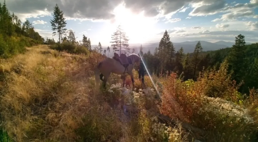 4193 Quartz Creek Road Libby MT 59923
