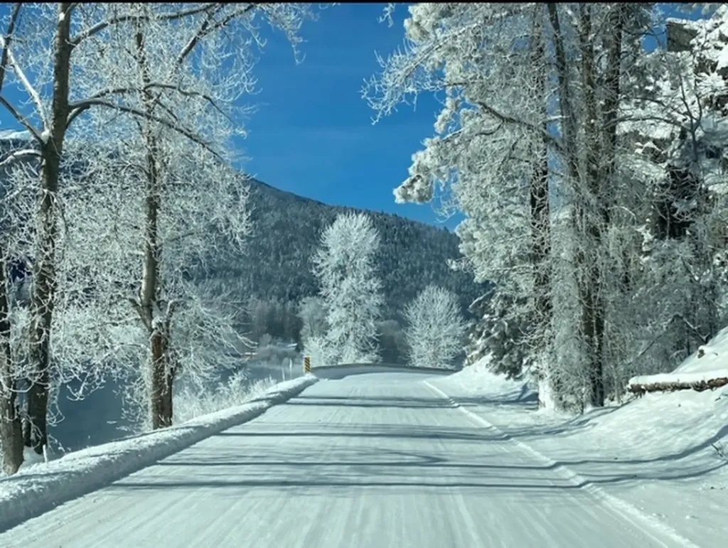 4193 Quartz Creek Road Libby MT 59923