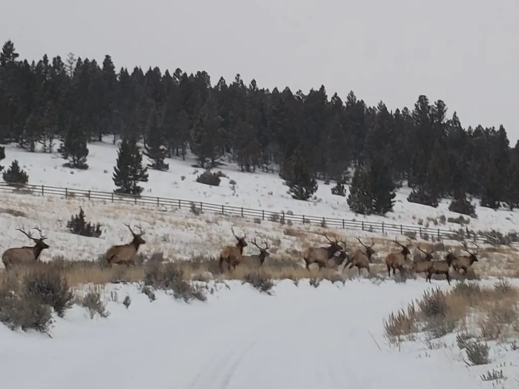 51 Wood Creek Road Boulder MT 59632