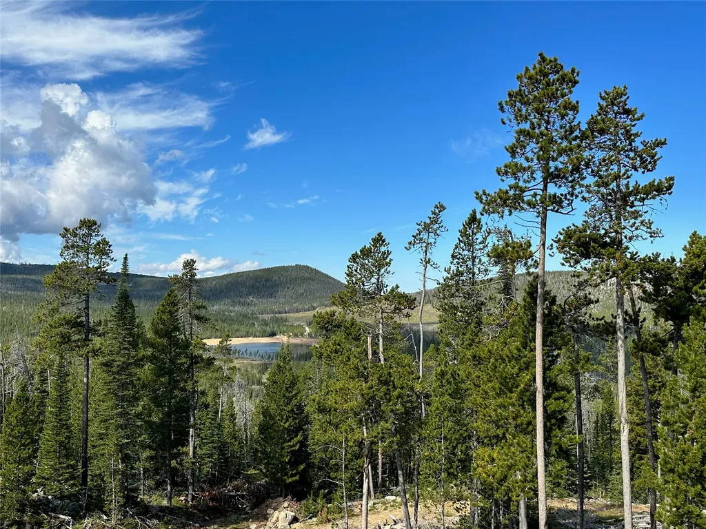 4445 Banner Creek Road Helena MT 59601
