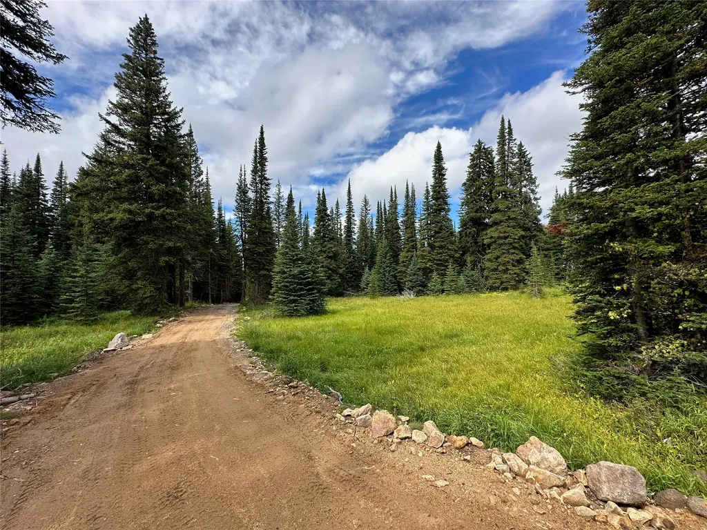 4445 Banner Creek Road Helena MT 59601