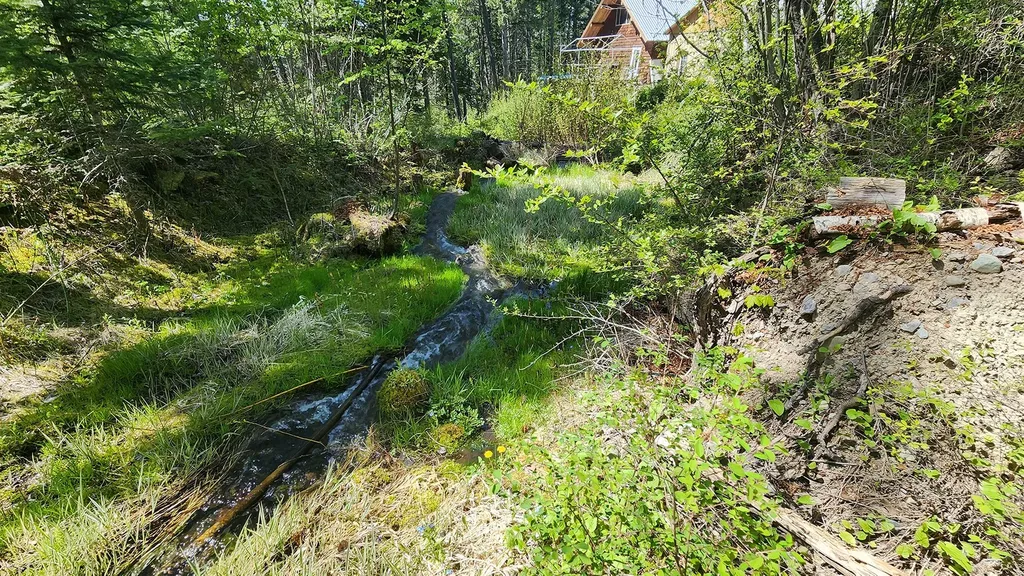 31611 Holmes Creek Lane Polson MT 59860