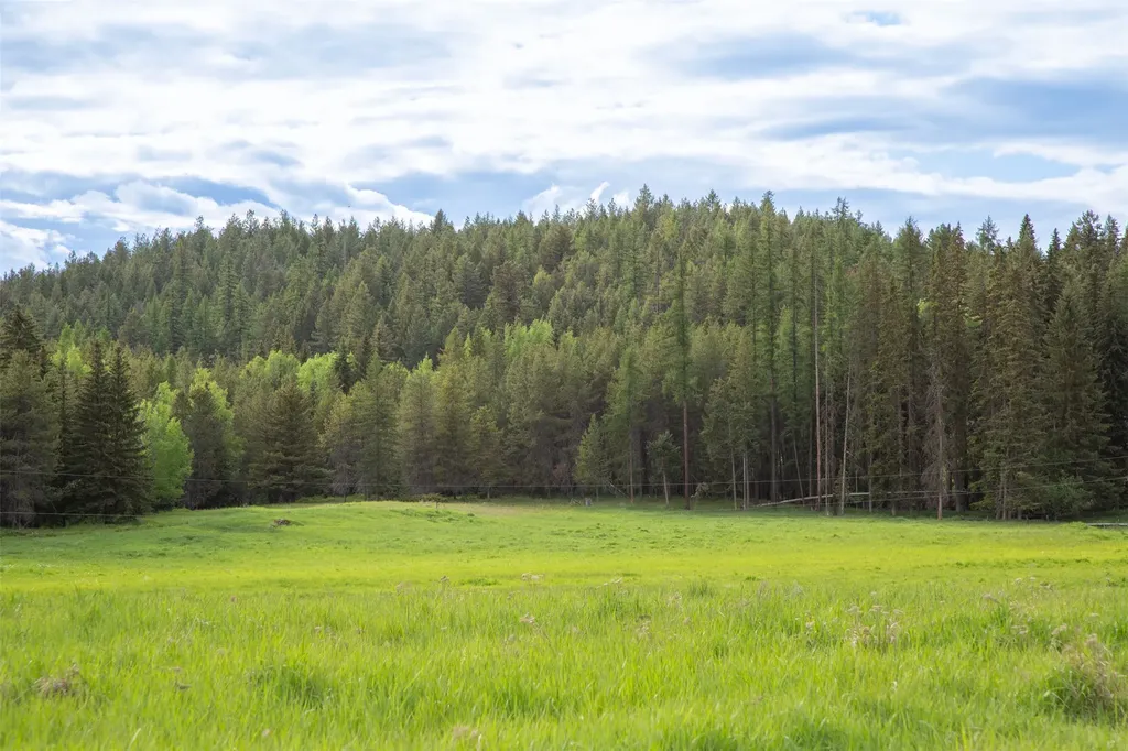 340 Tamarack Creek Road Whitefish MT 59937