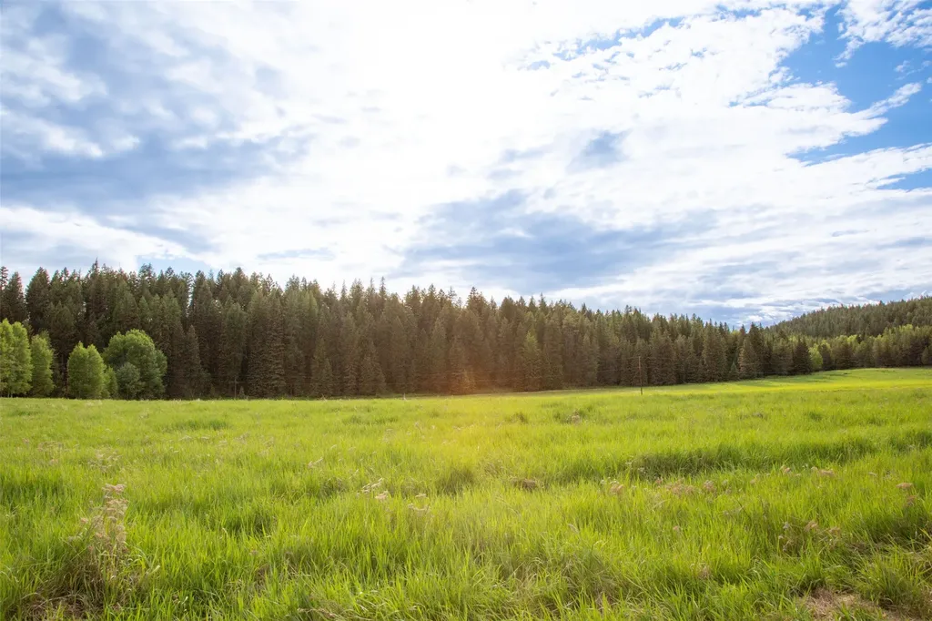 340 Tamarack Creek Road Whitefish MT 59937
