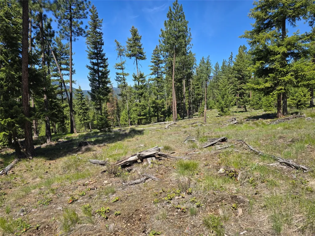 587 Cochran Lane St Regis MT 59866