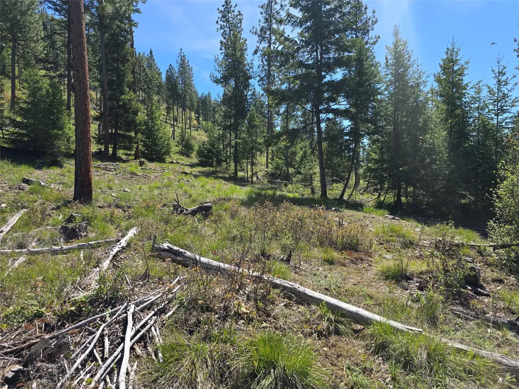 587 Cochran Lane St Regis MT 59866