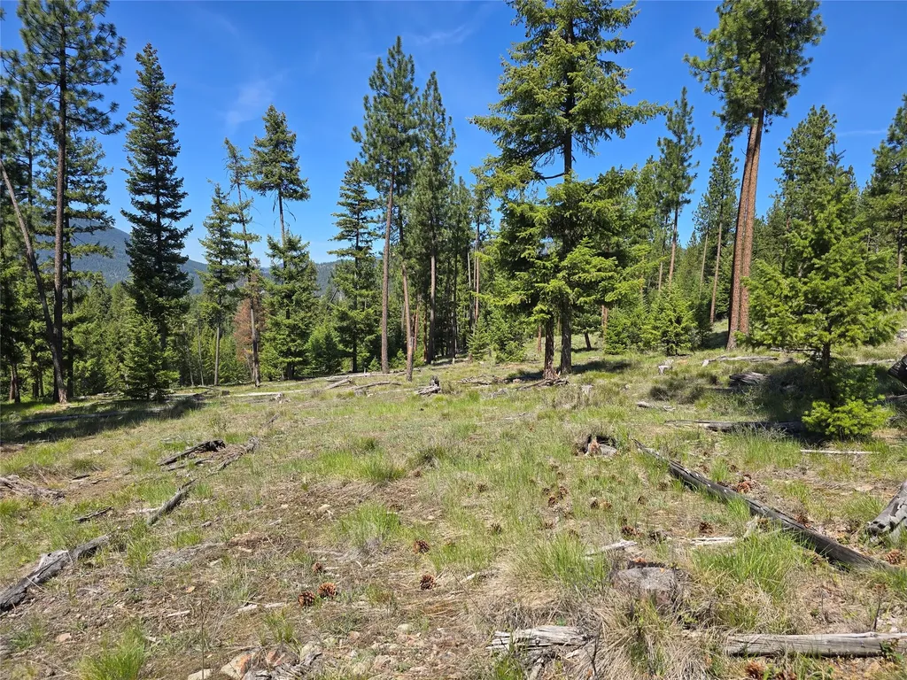 587 Cochran Lane St Regis MT 59866