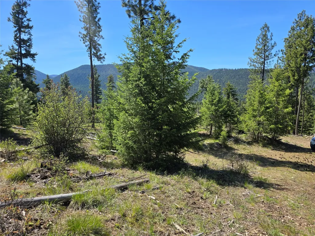 587 Cochran Lane St Regis MT 59866