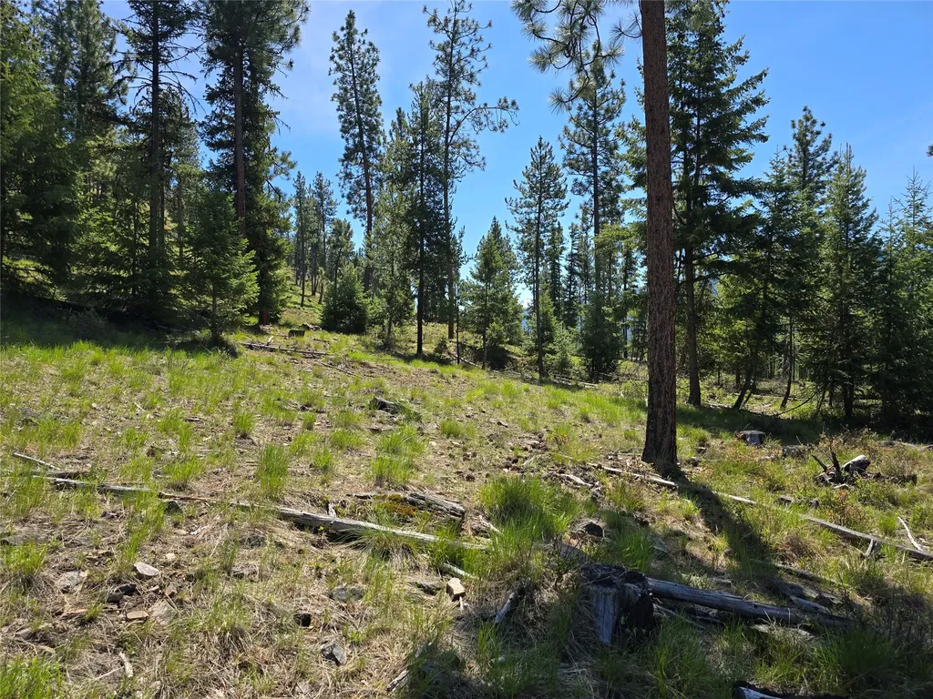 587 Cochran Lane St Regis MT 59866