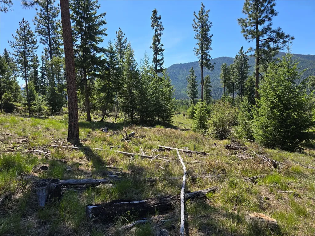 587 Cochran Lane St Regis MT 59866