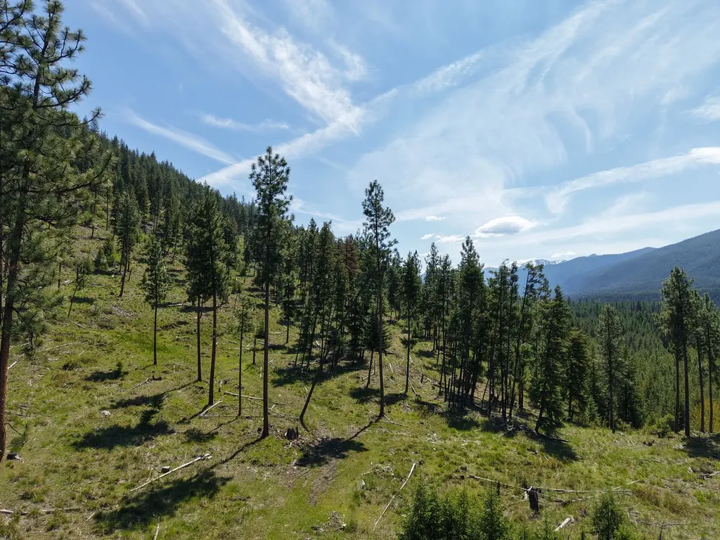 587 Cochran Lane St Regis MT 59866