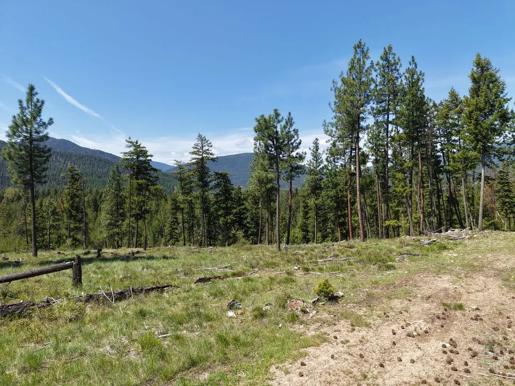 587 Cochran Lane St Regis MT 59866