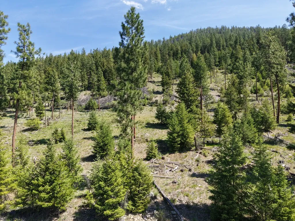 587 Cochran Lane St Regis MT 59866
