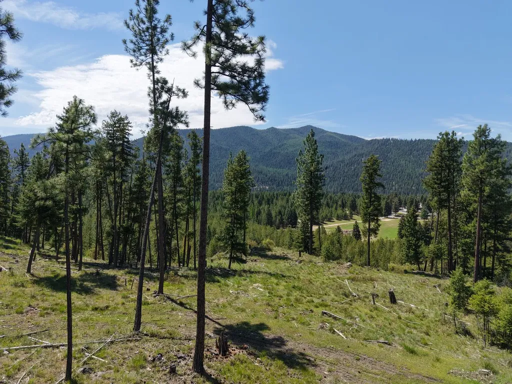 587 Cochran Lane St Regis MT 59866