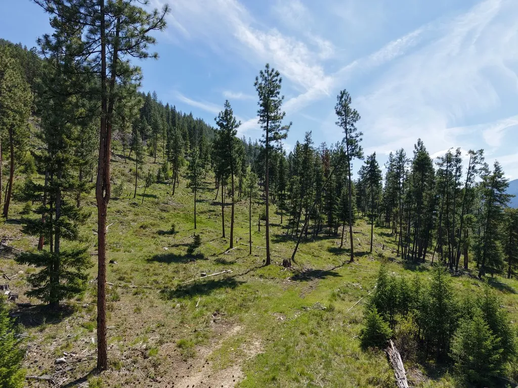 587 Cochran Lane St Regis MT 59866