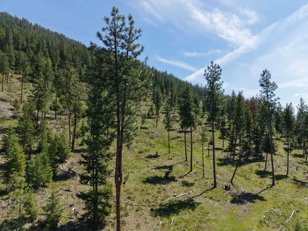 587 Cochran Lane St Regis MT 59866