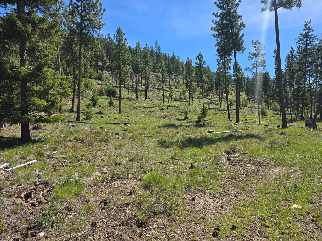 587 Cochran Lane St Regis MT 59866