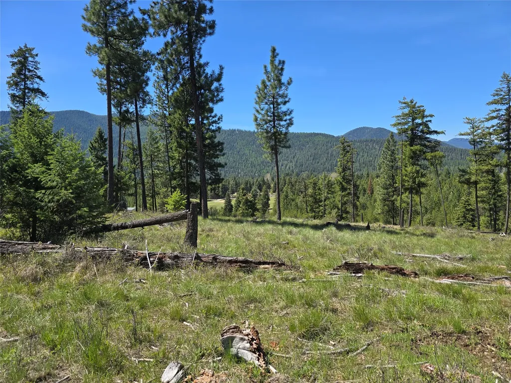587 Cochran Lane St Regis MT 59866