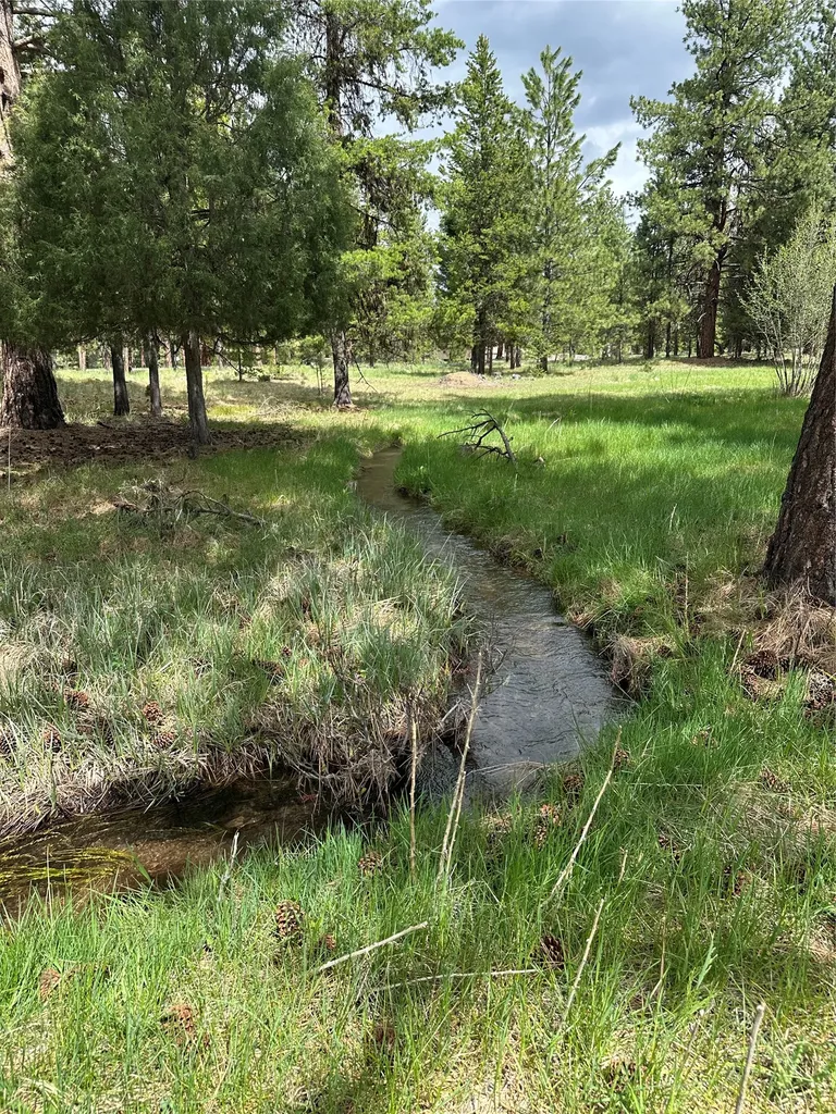 170 Drew Creek Loop Seeley Lake MT 59868