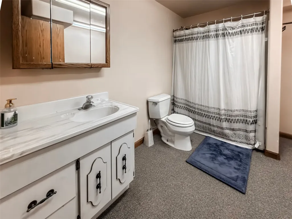 1910 No Creek Court Helena MT 59602