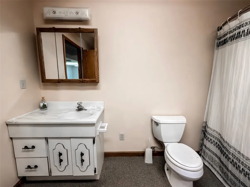 1910 No Creek Court Helena MT 59602