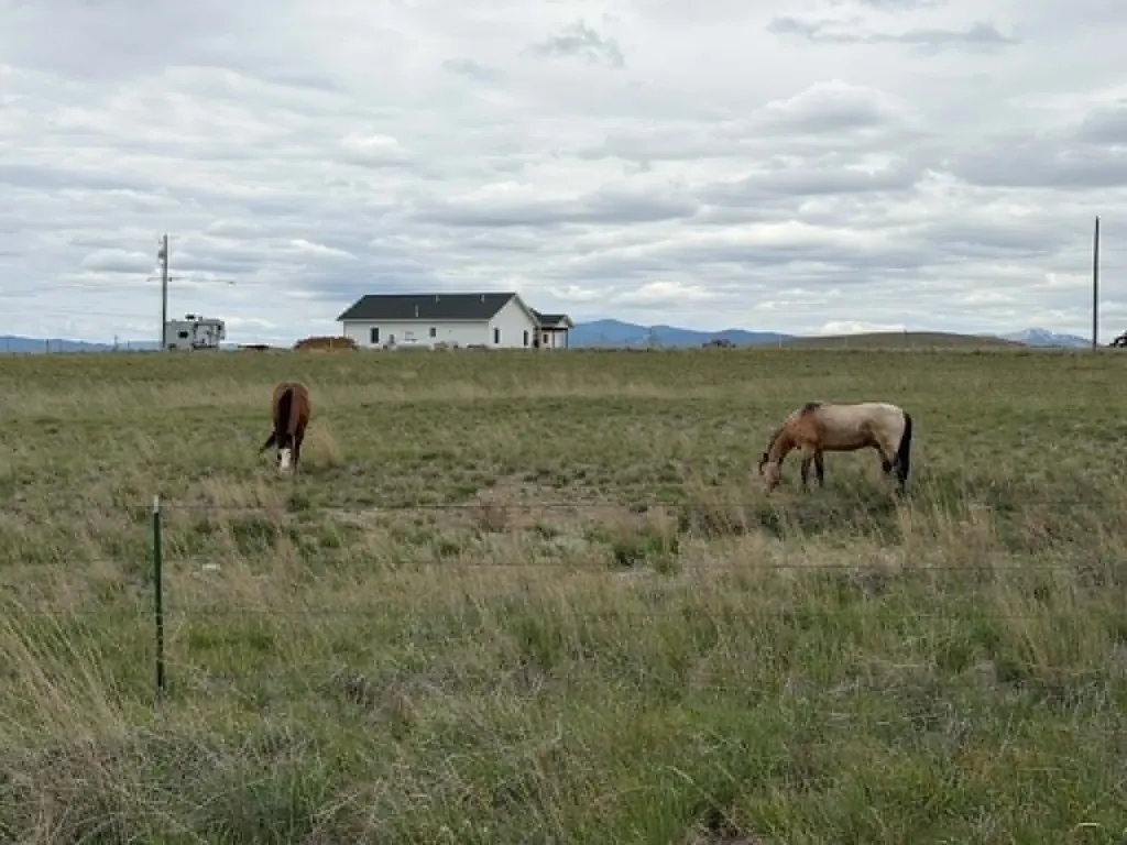 1910 No Creek Court Helena MT 59602