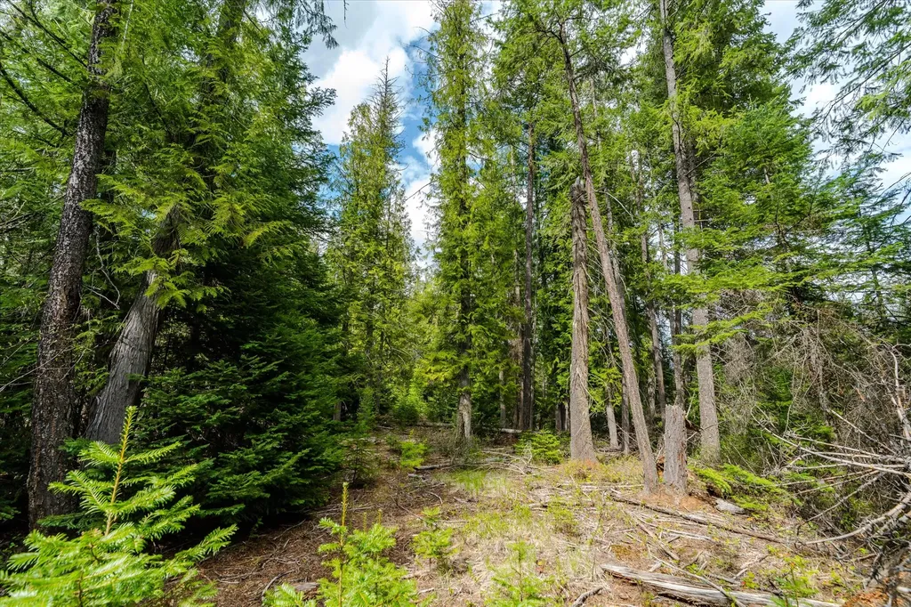 Tbd Hines Road Yaak MT 59935