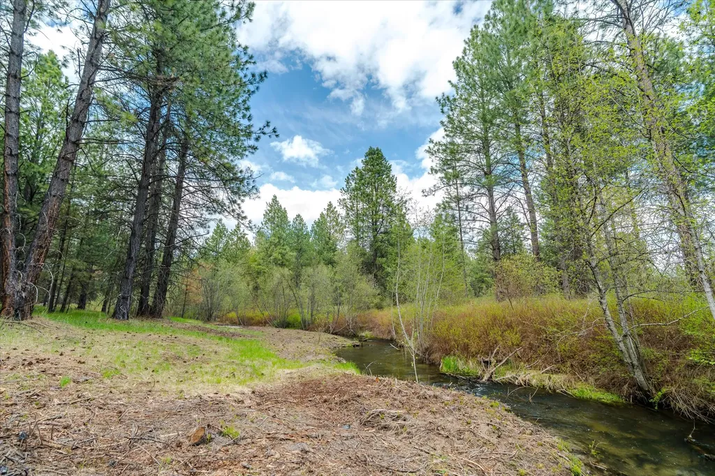 Tbd Hines Road Yaak MT 59935
