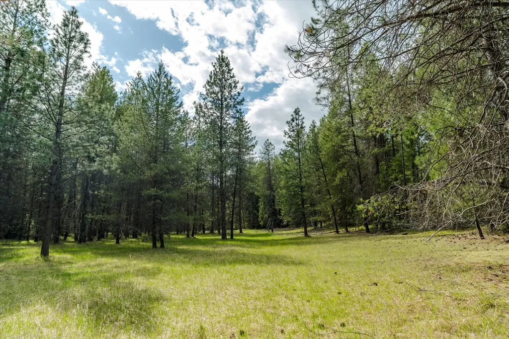 Tbd Hines Road Yaak MT 59935