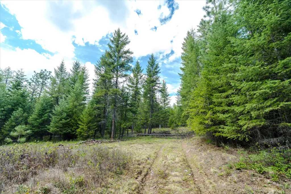 Tbd Hines Road Yaak MT 59935