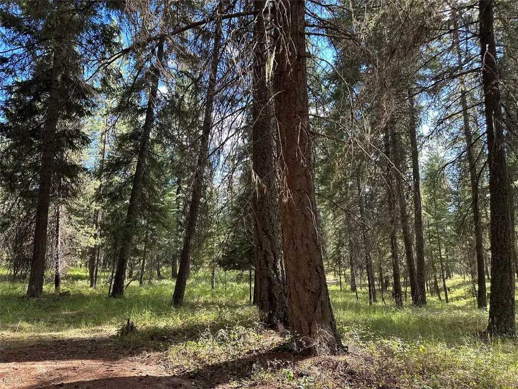 Nhn Farlan Lane Thompson Falls MT 59873