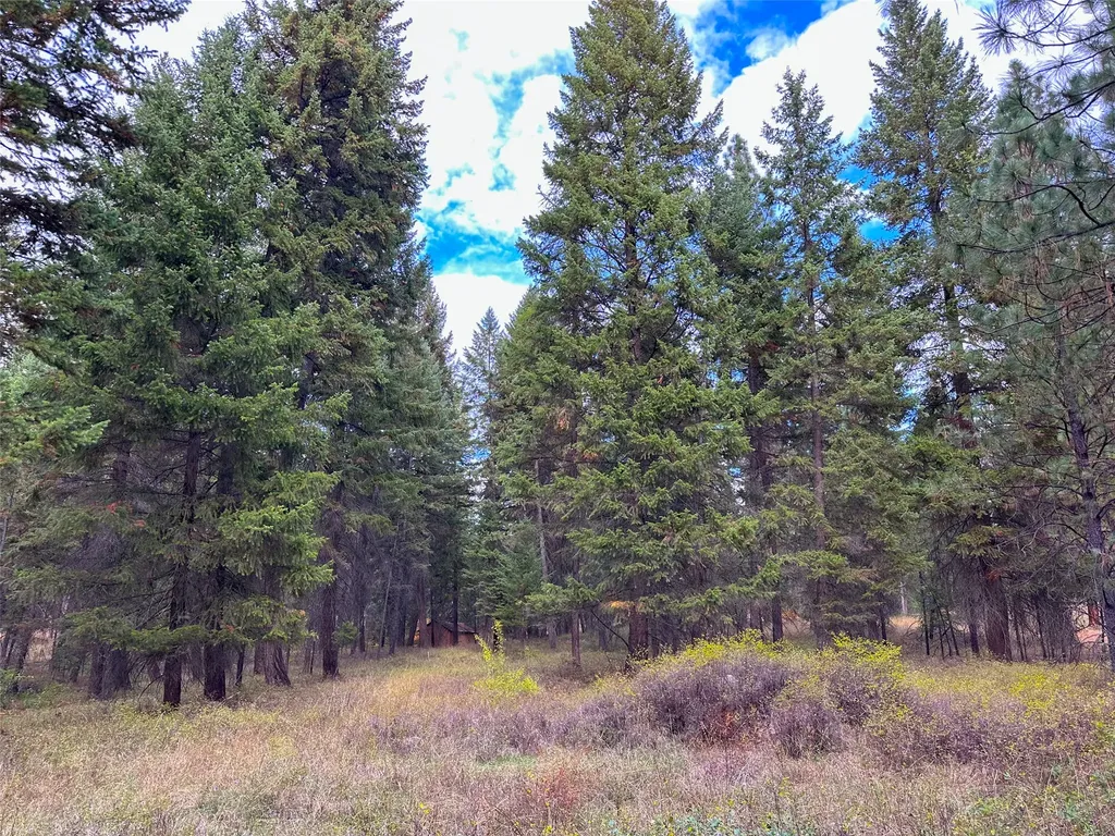 Nhn Farlan Lane Thompson Falls MT 59873
