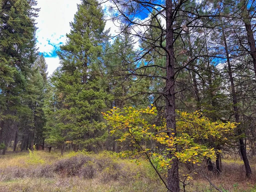 Nhn Farlan Lane Thompson Falls MT 59873