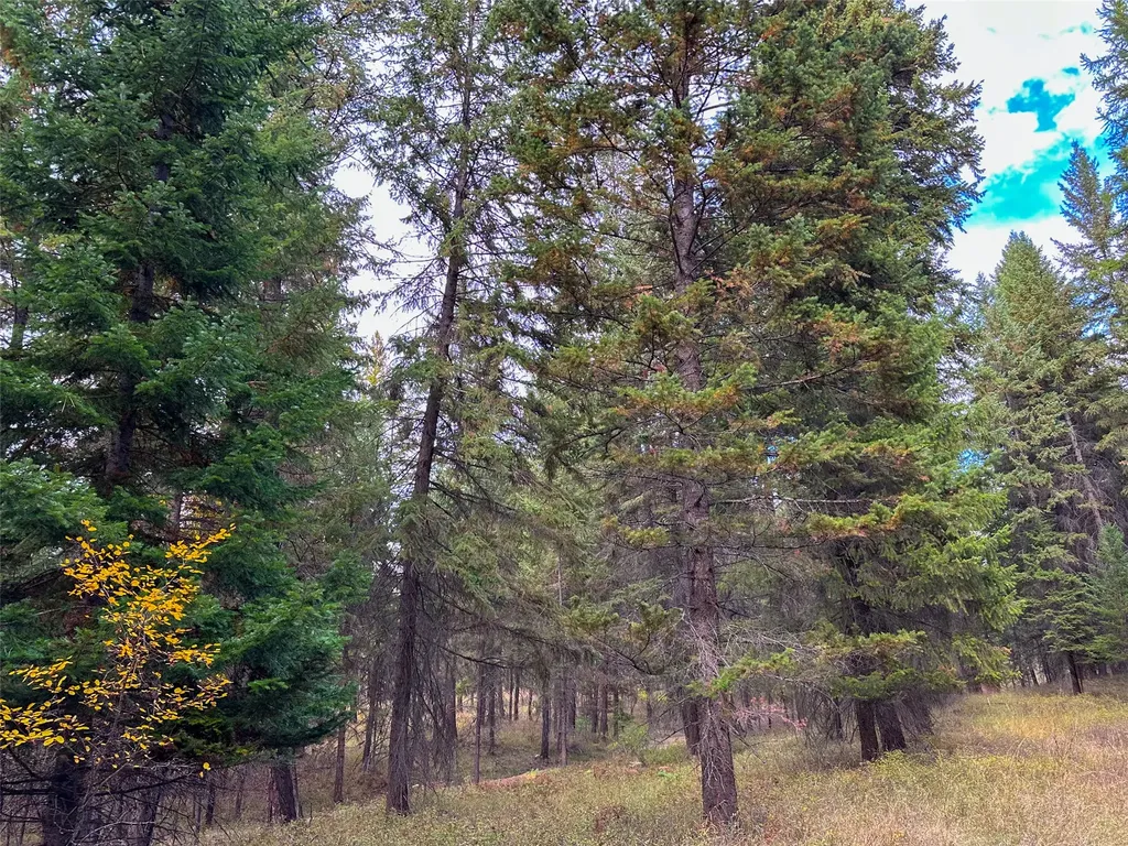 Nhn Farlan Lane Thompson Falls MT 59873