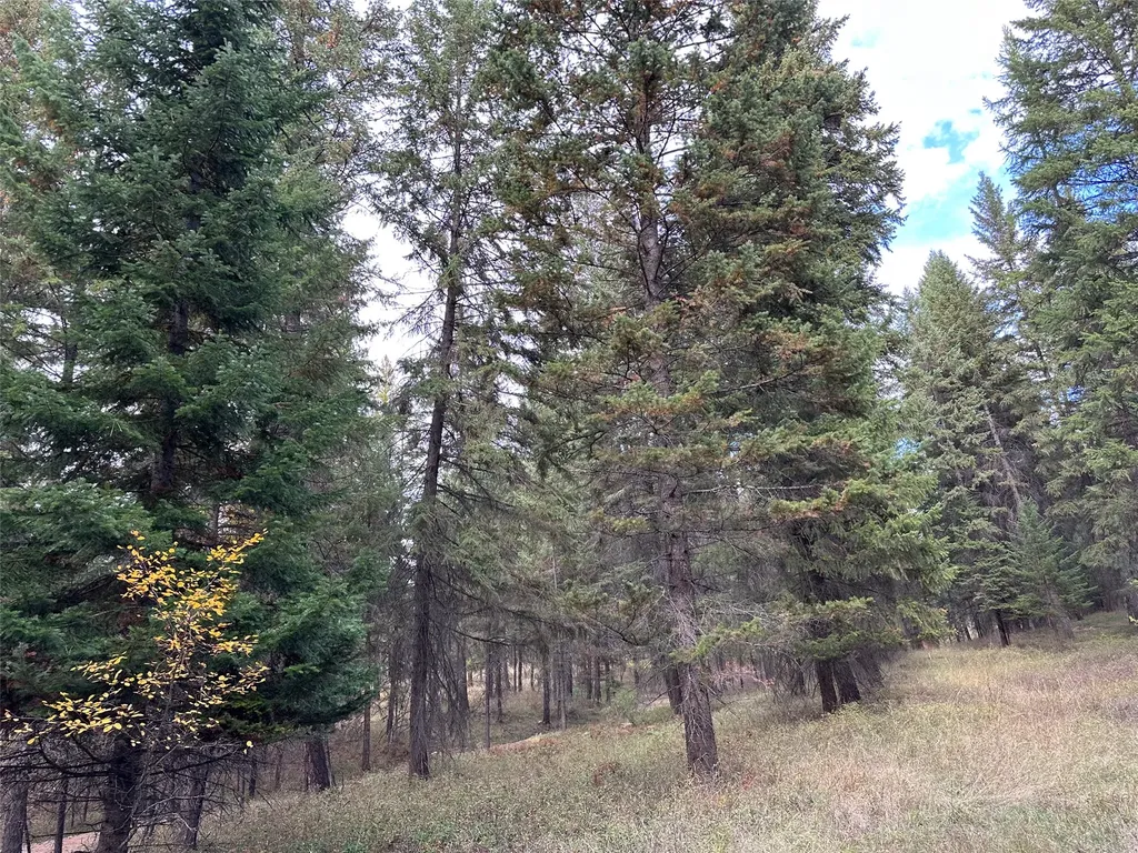 Nhn Farlan Lane Thompson Falls MT 59873