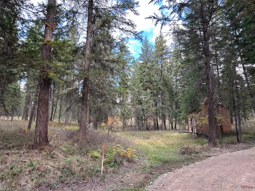 Nhn Farlan Lane Thompson Falls MT 59873