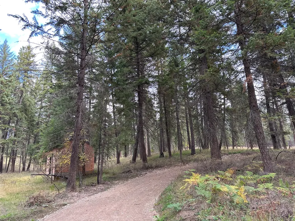 Nhn Farlan Lane Thompson Falls MT 59873
