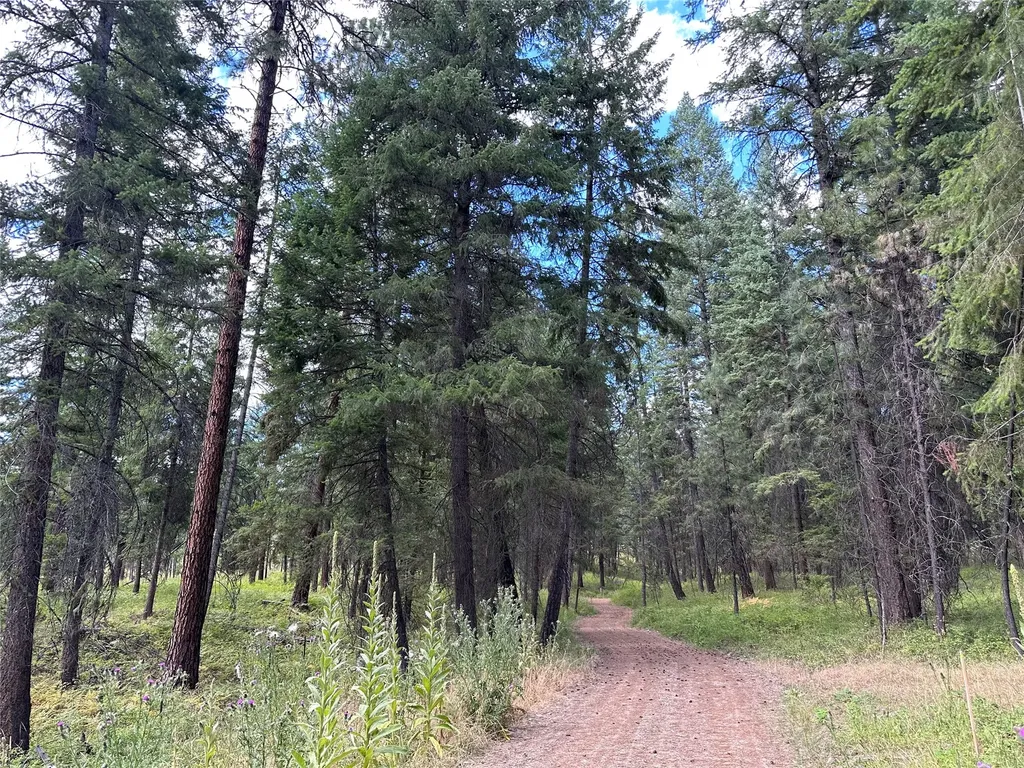 Nhn Farlan Lane Thompson Falls MT 59873