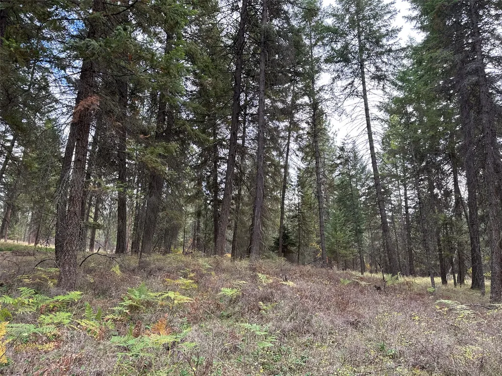 Nhn Farlan Lane Thompson Falls MT 59873
