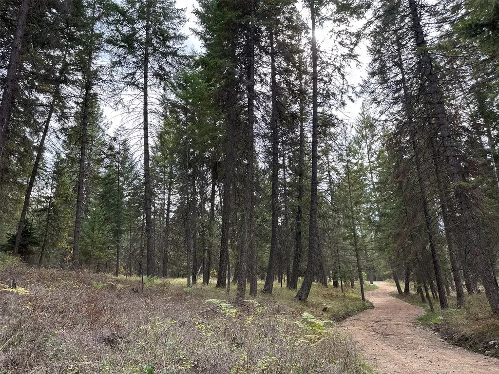 Nhn Farlan Lane Thompson Falls MT 59873