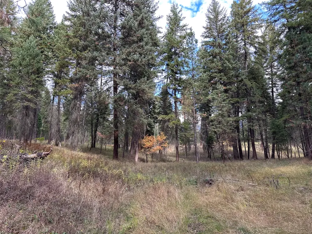 Nhn Farlan Lane Thompson Falls MT 59873