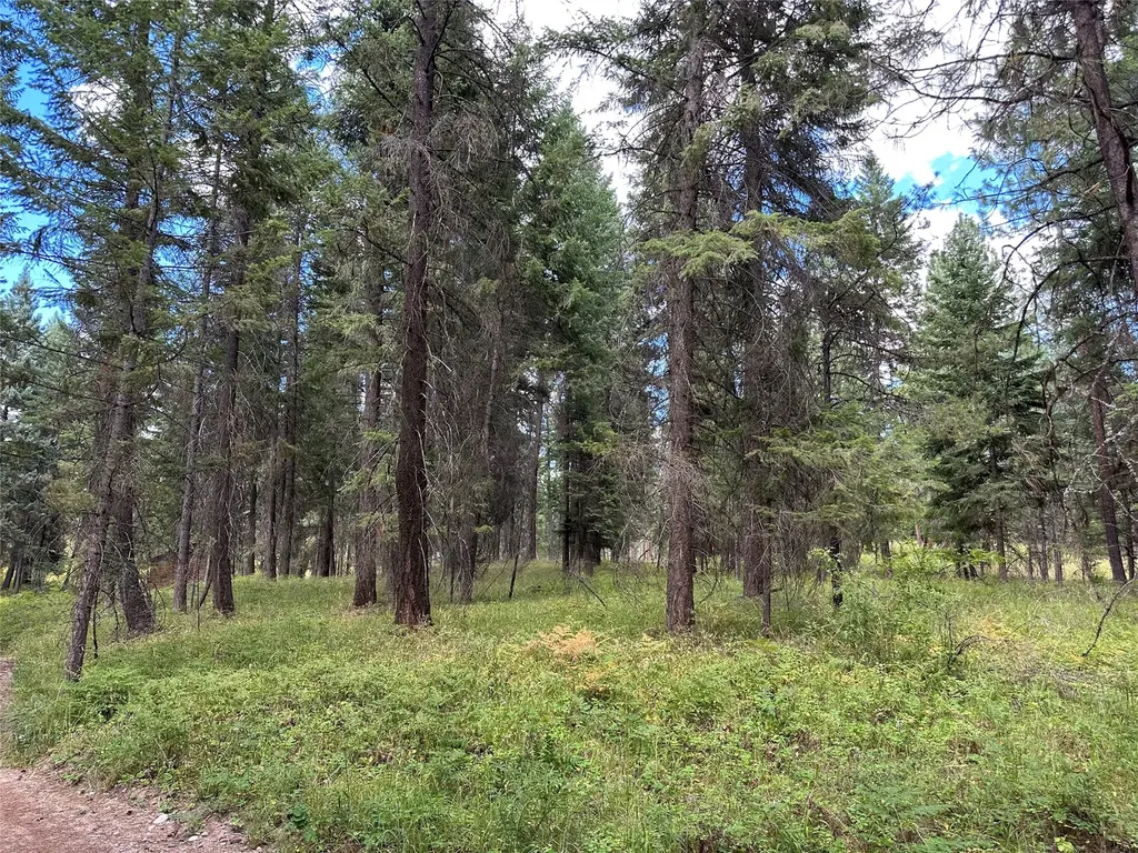 Nhn Farlan Lane Thompson Falls MT 59873