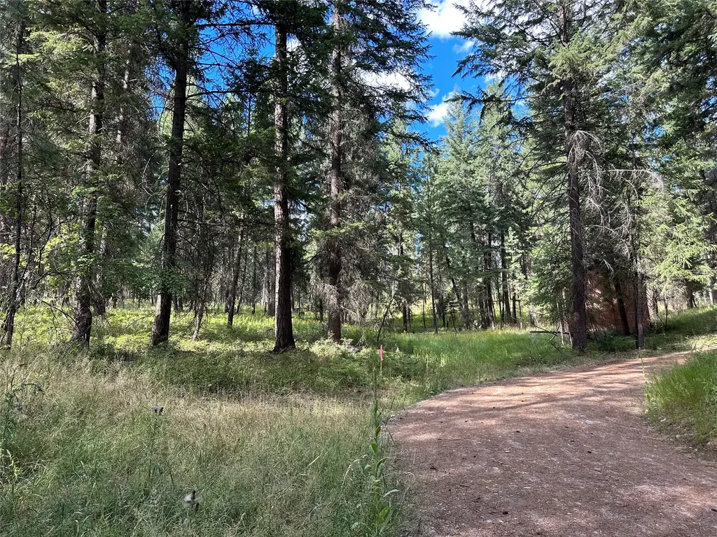 Nhn Farlan Lane Thompson Falls MT 59873