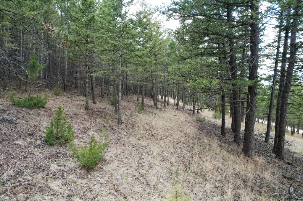 291 S Hills Road Clancy MT 59634