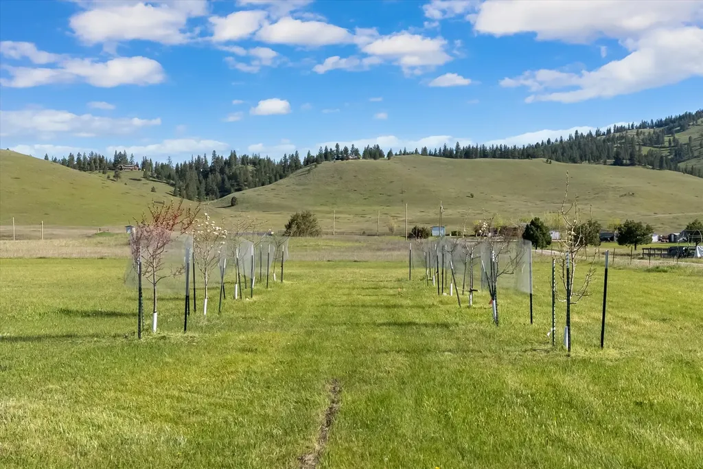40994 Terrace Circle Polson MT 59860
