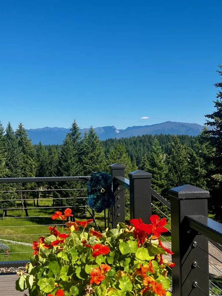 Trego MT 59934