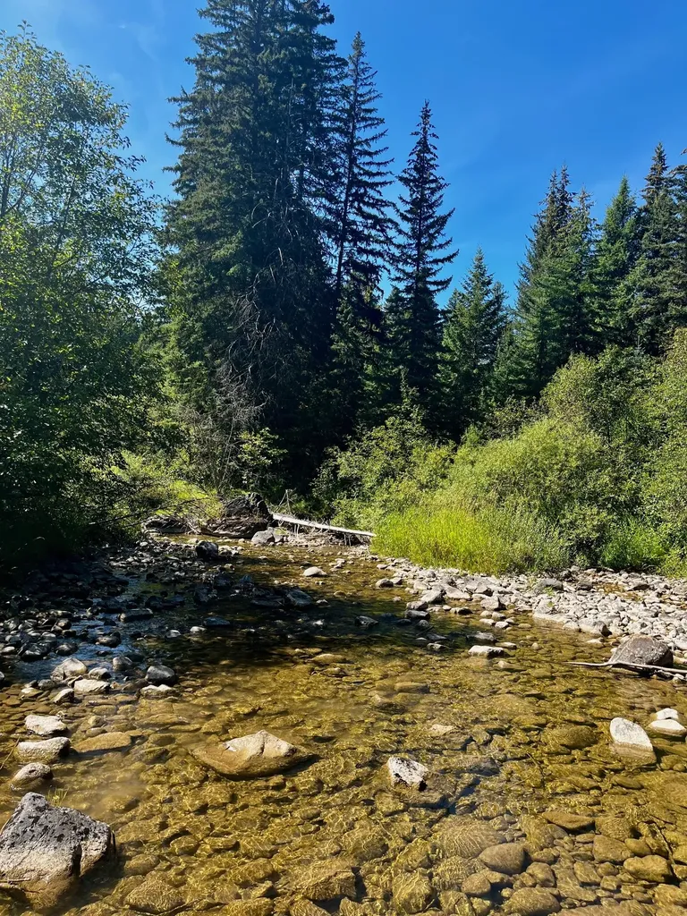 Trego MT 59934