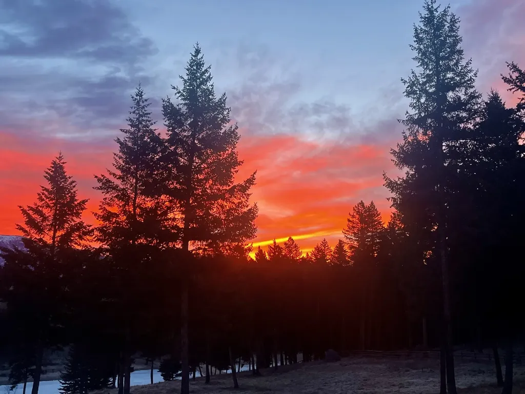 Trego MT 59934